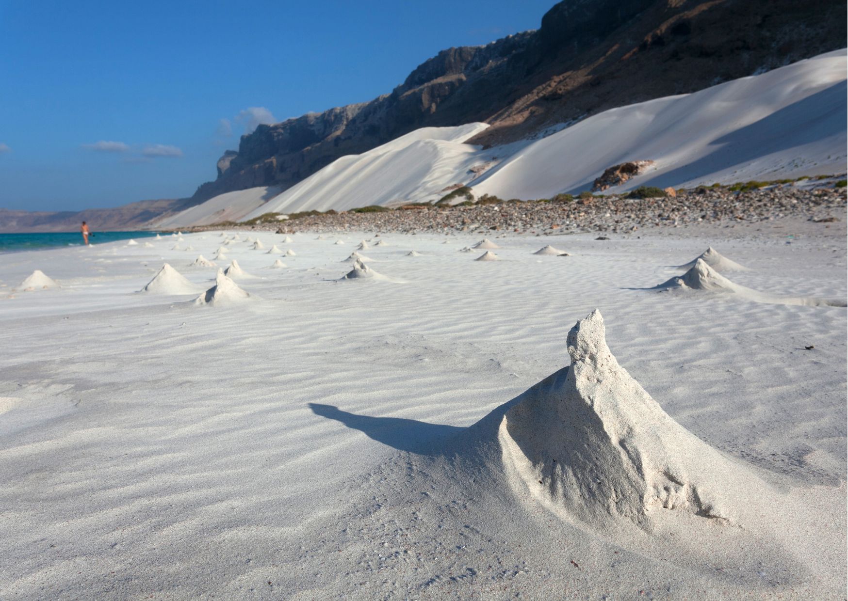 viaggio di gruppo socotra
